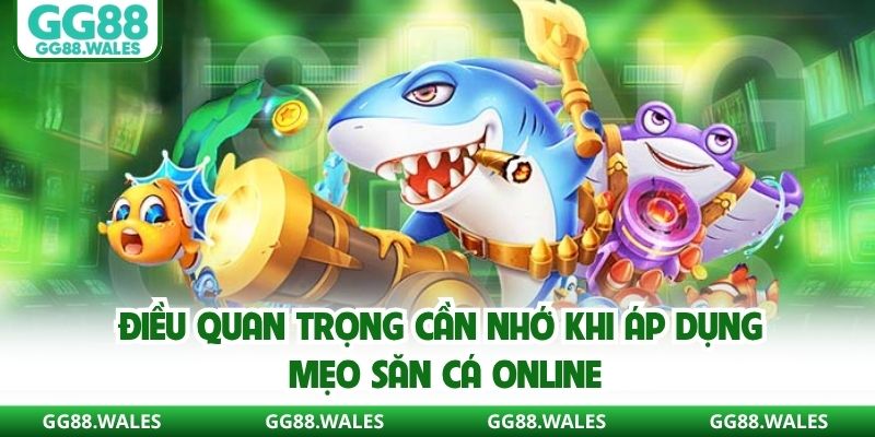 Điều quan trọng cần nhớ khi áp dụng mẹo săn cá online
