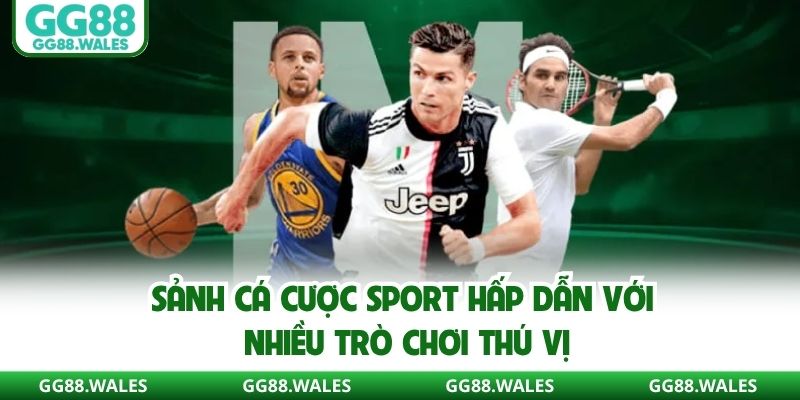 Sảnh cá cược sport hấp dẫn với nhiều trò chơi thú vị
