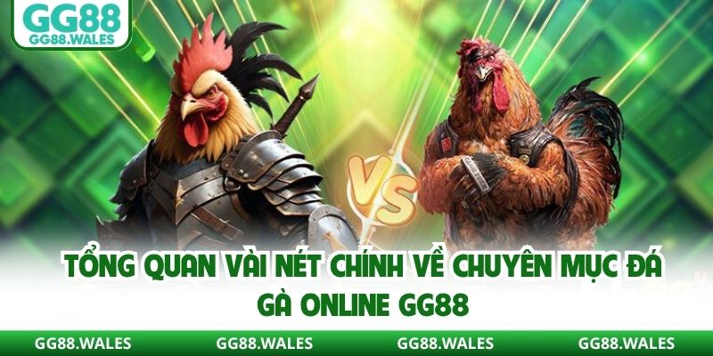 Tổng quan vài nét chính về chuyên mục đá gà online GG88